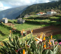 Madeira for self catering holiday apartments