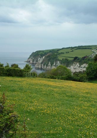 cottages to rent for 12 in Devon England